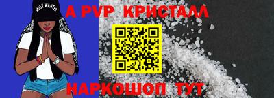 крисы Новокубанск