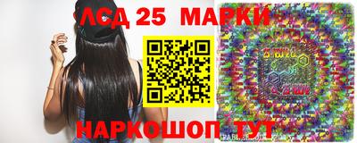 крисы Новокубанск