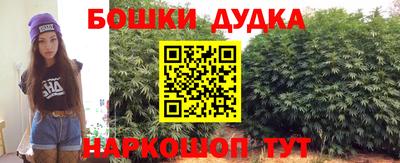 крисы Новокубанск