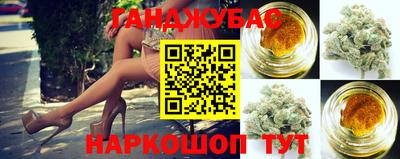 крисы Новодвинск