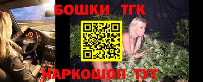 крисы Новодвинск