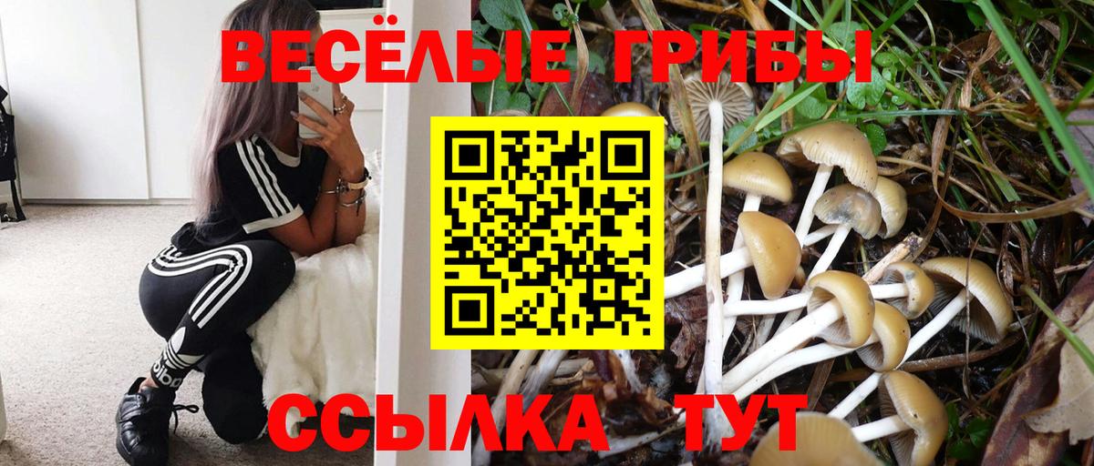 Нягань  Галлюциногенные грибы мухоморы  Вход с VPN 